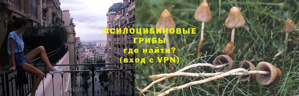 молекула духа Алексеевка
