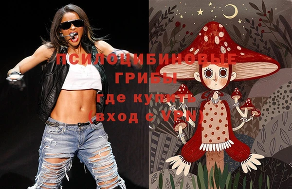 молекула духа Алексеевка