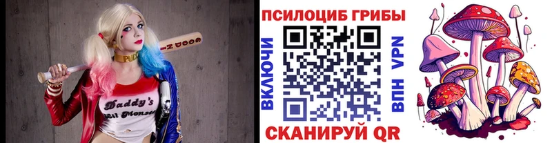 Псилоцибиновые грибы мухоморы  Чадан 