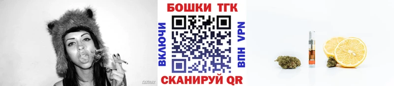 закладка  Чадан  Конопля гибрид 